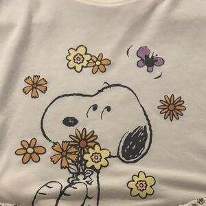 Corona Beer with Colorful Drinks